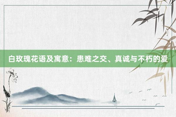 白玫瑰花语及寓意：患难之交、真诚与不朽的爱