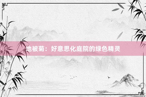 地被菊：好意思化庭院的绿色精灵