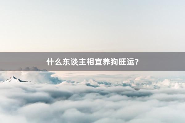 什么东谈主相宜养狗旺运？